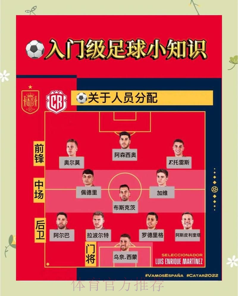 全面解析世界杯平台选择技巧